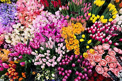 Capcom暗示将来会复活一些休眠游戏IP